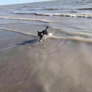 Meet your Posher, Poonam